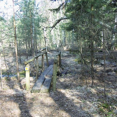 Fewoamglubigsee Wendisch Rietz Kültér fotó