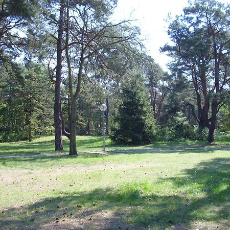 Fewoamglubigsee Wendisch Rietz Kültér fotó