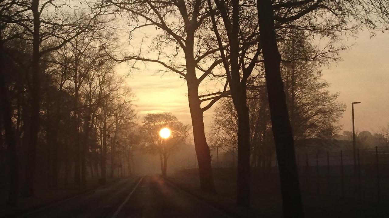 Fewoamglubigsee Wendisch Rietz Kültér fotó