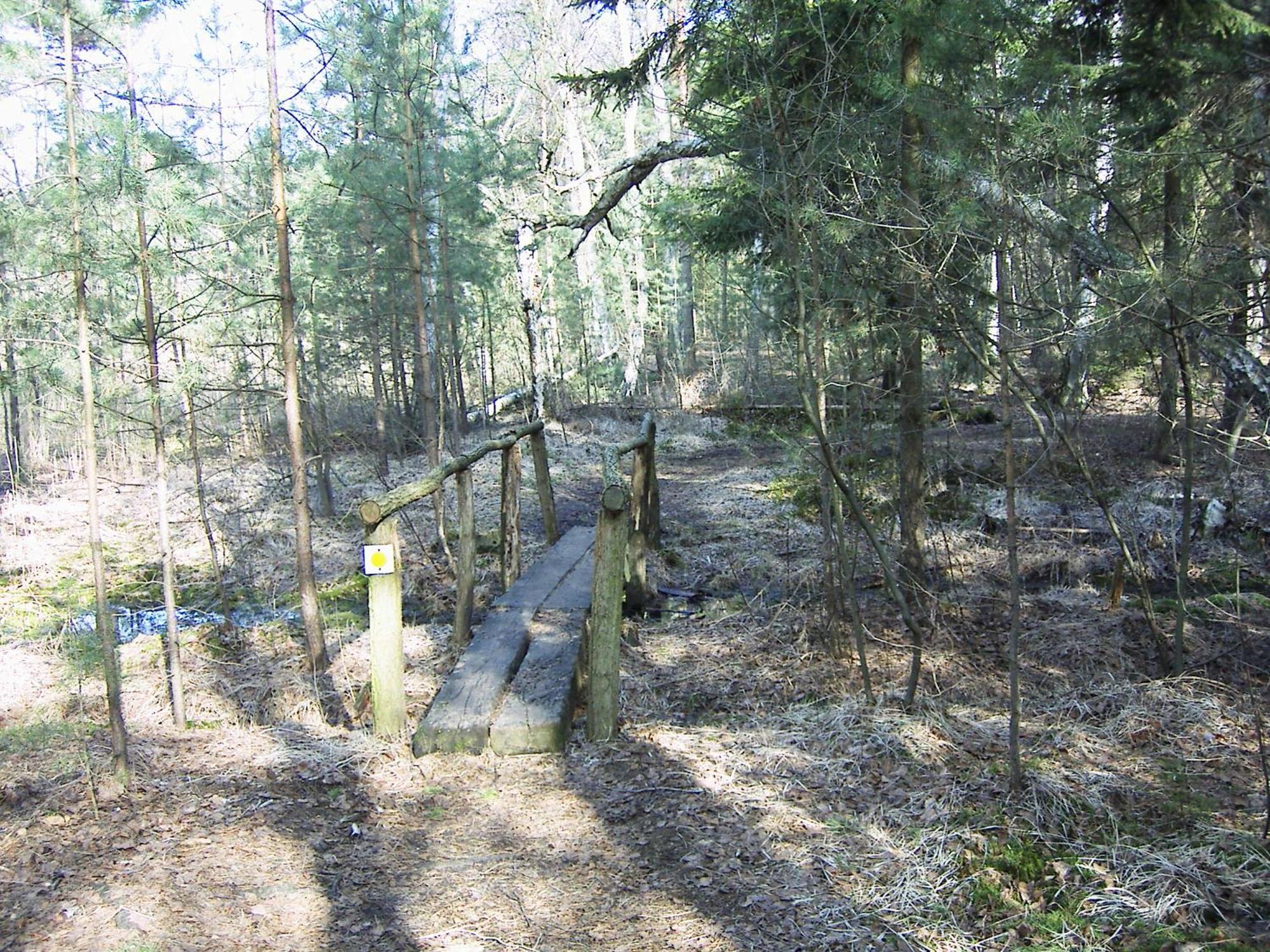 Fewoamglubigsee Wendisch Rietz Kültér fotó